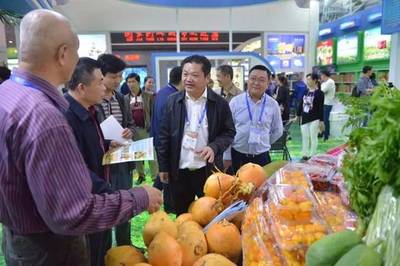 2017中国(海南)国际热带农产品冬季交易会开幕