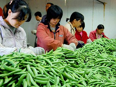 宋海彬在第十六届中国国际农产品交易会上忙个不停,整日里的销售,洽谈